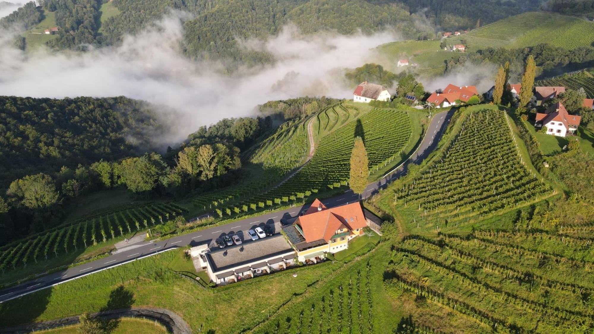 Hotel Wohlmuth-Lueckl Kitzeck im Sausal Zewnętrze zdjęcie