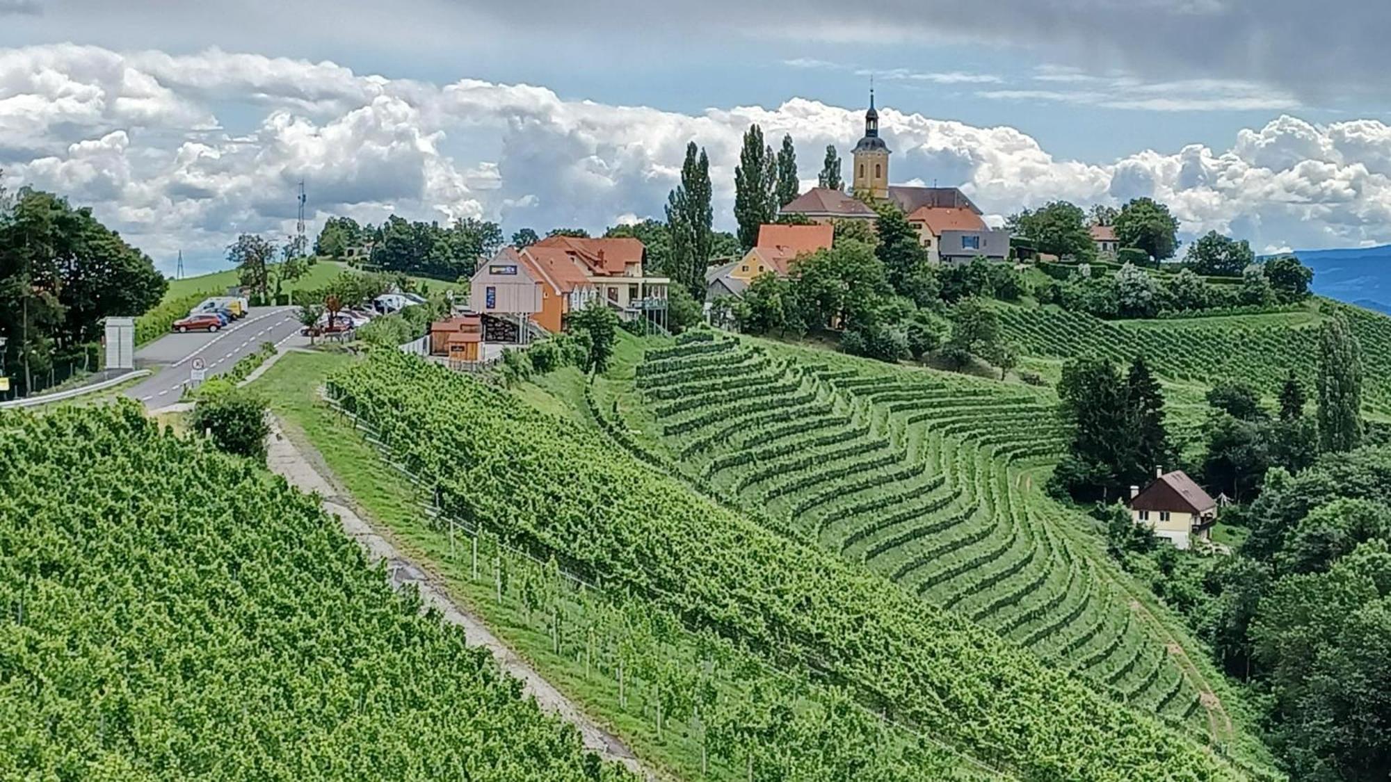 Hotel Wohlmuth-Lueckl Kitzeck im Sausal Zewnętrze zdjęcie