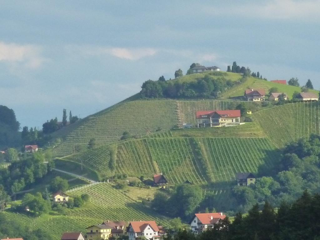 Hotel Wohlmuth-Lueckl Kitzeck im Sausal Zewnętrze zdjęcie